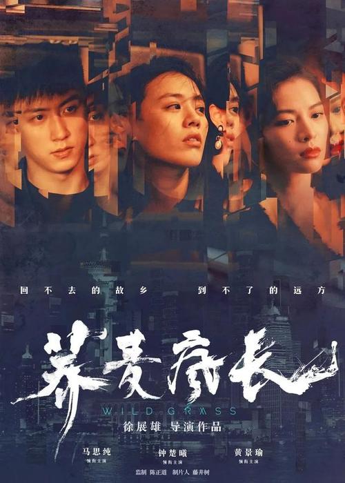 购买假Chime 银行对账单